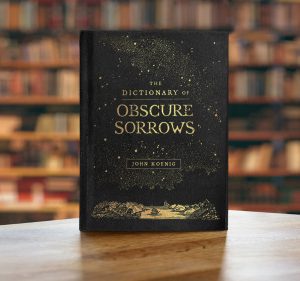 The Dictionary of Obscure Sorrows