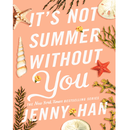 Its Not Summer without You – کتاب الکترونیکی انگلیسی